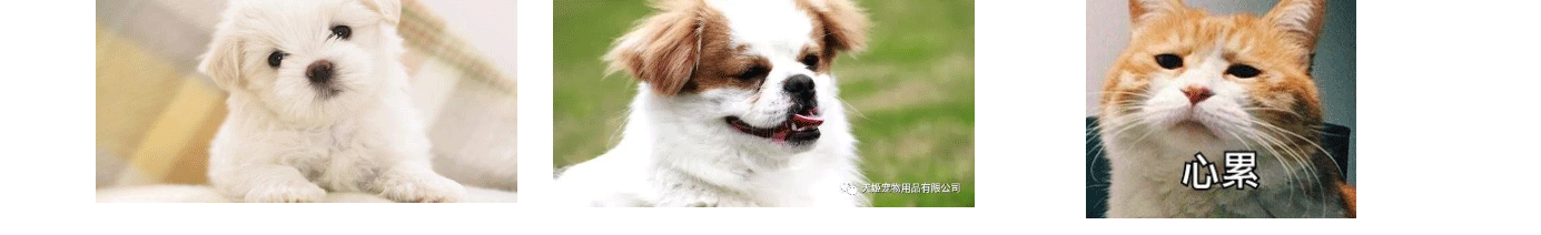 深圳網(wǎng)站設(shè)計公司_高端定制設(shè)計網(wǎng)站_營銷型網(wǎng)站設(shè)計制作_深圳網(wǎng)站建設(shè)