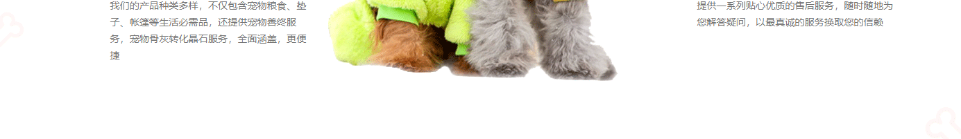 深圳網(wǎng)站設(shè)計公司_高端定制設(shè)計網(wǎng)站_營銷型網(wǎng)站設(shè)計制作_深圳網(wǎng)站建設(shè)