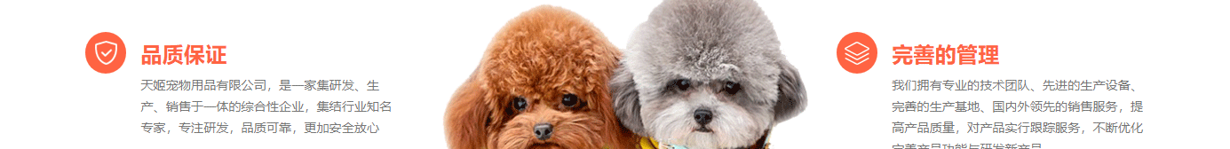 深圳網(wǎng)站設(shè)計公司_高端定制設(shè)計網(wǎng)站_營銷型網(wǎng)站設(shè)計制作_深圳網(wǎng)站建設(shè)