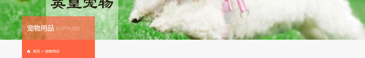 深圳網(wǎng)站設(shè)計公司_高端定制設(shè)計網(wǎng)站_營銷型網(wǎng)站設(shè)計制作_深圳網(wǎng)站建設(shè)