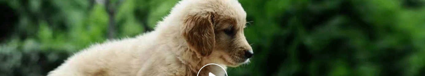 深圳網(wǎng)站設(shè)計公司_高端定制設(shè)計網(wǎng)站_營銷型網(wǎng)站設(shè)計制作_深圳網(wǎng)站建設(shè)