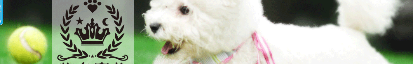 深圳網(wǎng)站設(shè)計公司_高端定制設(shè)計網(wǎng)站_營銷型網(wǎng)站設(shè)計制作_深圳網(wǎng)站建設(shè)