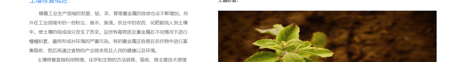 深圳網(wǎng)站設(shè)計(jì)公司_高端定制設(shè)計(jì)網(wǎng)站_營(yíng)銷型網(wǎng)站設(shè)計(jì)制作_深圳網(wǎng)站建設(shè)