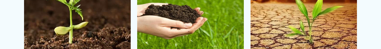 深圳網(wǎng)站設(shè)計(jì)公司_高端定制設(shè)計(jì)網(wǎng)站_營(yíng)銷型網(wǎng)站設(shè)計(jì)制作_深圳網(wǎng)站建設(shè)