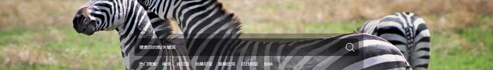 深圳網(wǎng)站設(shè)計(jì)公司_高端定制設(shè)計(jì)網(wǎng)站_營銷型網(wǎng)站設(shè)計(jì)制作_深圳網(wǎng)站建設(shè)