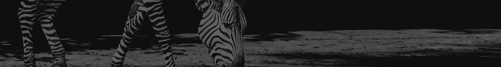 深圳網(wǎng)站設(shè)計(jì)公司_高端定制設(shè)計(jì)網(wǎng)站_營銷型網(wǎng)站設(shè)計(jì)制作_深圳網(wǎng)站建設(shè)