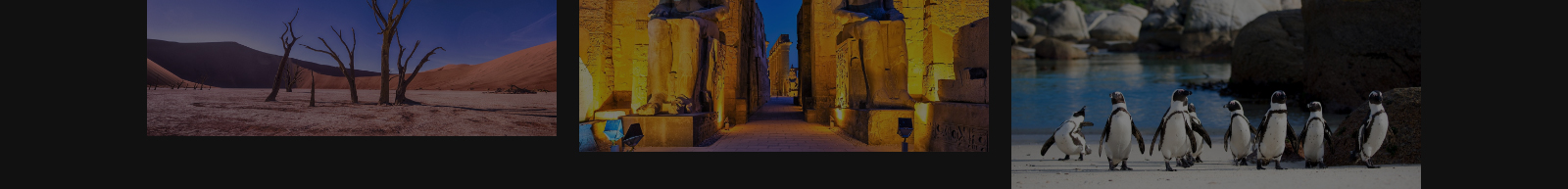 深圳網(wǎng)站設(shè)計(jì)公司_高端定制設(shè)計(jì)網(wǎng)站_營銷型網(wǎng)站設(shè)計(jì)制作_深圳網(wǎng)站建設(shè)