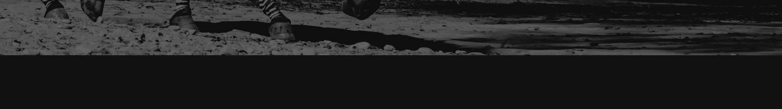 深圳網(wǎng)站設(shè)計(jì)公司_高端定制設(shè)計(jì)網(wǎng)站_營銷型網(wǎng)站設(shè)計(jì)制作_深圳網(wǎng)站建設(shè)