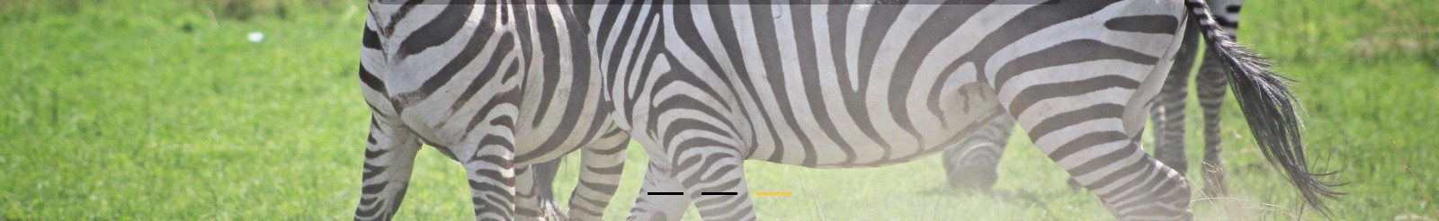 深圳網(wǎng)站設(shè)計(jì)公司_高端定制設(shè)計(jì)網(wǎng)站_營銷型網(wǎng)站設(shè)計(jì)制作_深圳網(wǎng)站建設(shè)