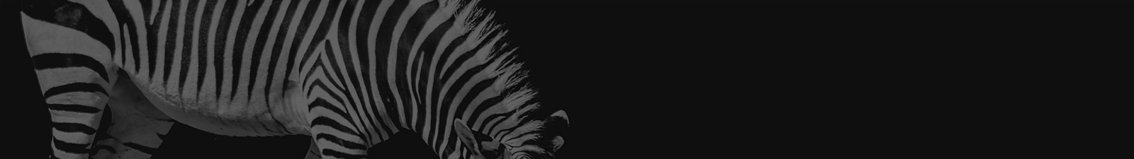 深圳網(wǎng)站設(shè)計(jì)公司_高端定制設(shè)計(jì)網(wǎng)站_營銷型網(wǎng)站設(shè)計(jì)制作_深圳網(wǎng)站建設(shè)