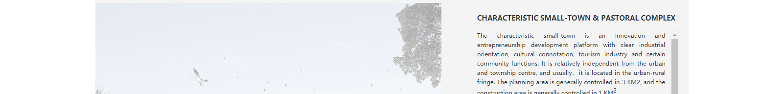 深圳網站設計公司_高端定制設計網站_營銷型網站設計制作_深圳網站建設