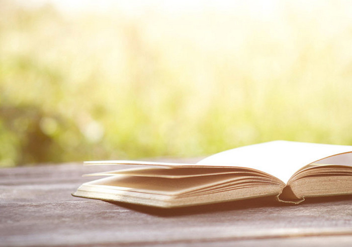 智狼邦教育集團