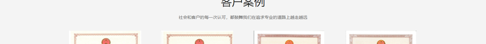 網(wǎng)站建設(shè)設(shè)計(jì)案例_營(yíng)銷型網(wǎng)站制作案例