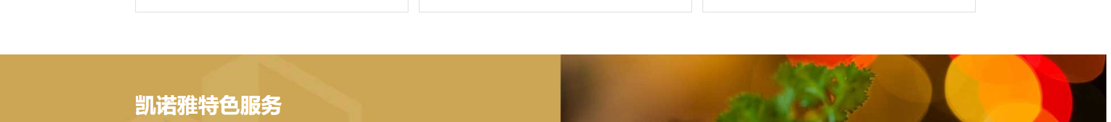 網(wǎng)站建設設計案例_營銷型網(wǎng)站制作案例