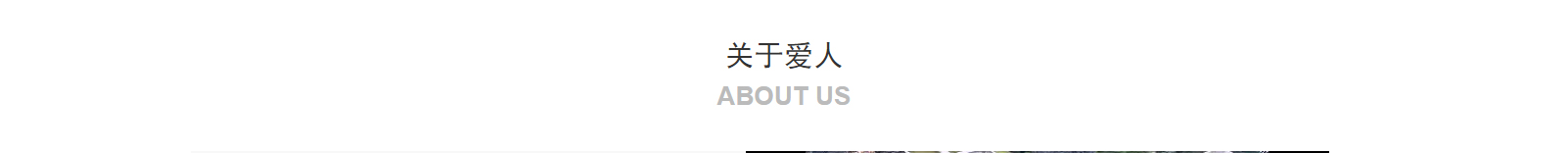 網(wǎng)站建設(shè)設(shè)計(jì)案例_營(yíng)銷型網(wǎng)站制作案例