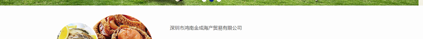 網(wǎng)站建設設計案例_營銷型網(wǎng)站制作案例