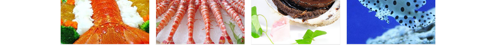 網(wǎng)站建設設計案例_營銷型網(wǎng)站制作案例