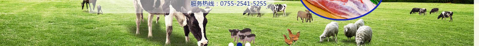 網(wǎng)站建設設計案例_營銷型網(wǎng)站制作案例