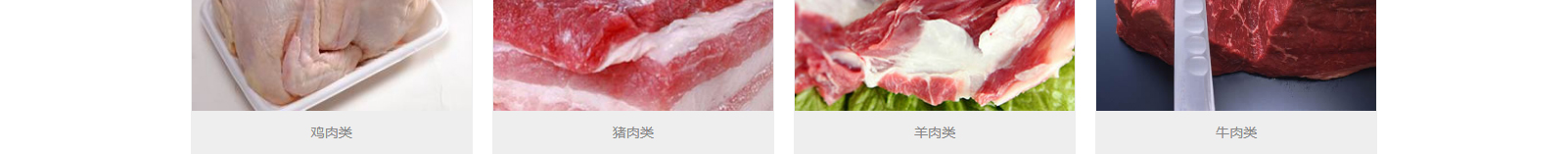 網(wǎng)站建設設計案例_營銷型網(wǎng)站制作案例