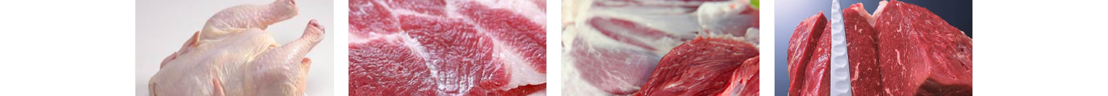 網(wǎng)站建設設計案例_營銷型網(wǎng)站制作案例