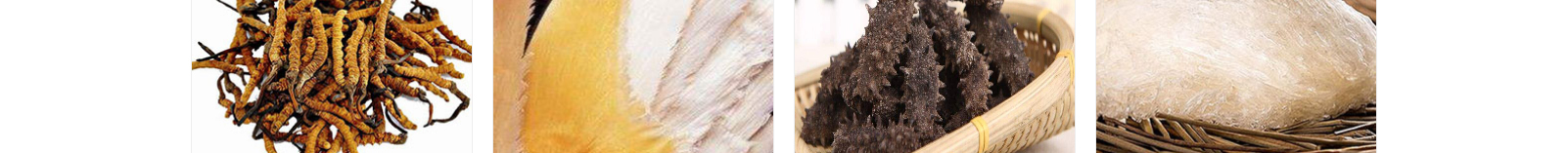 網(wǎng)站建設設計案例_營銷型網(wǎng)站制作案例