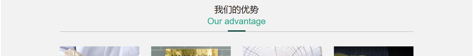 網(wǎng)站建設(shè)設(shè)計(jì)案例_營銷型網(wǎng)站制作案例