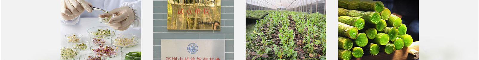 網(wǎng)站建設(shè)設(shè)計(jì)案例_營銷型網(wǎng)站制作案例