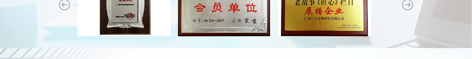 網(wǎng)站建設(shè)設(shè)計案例_營銷型網(wǎng)站制作案例