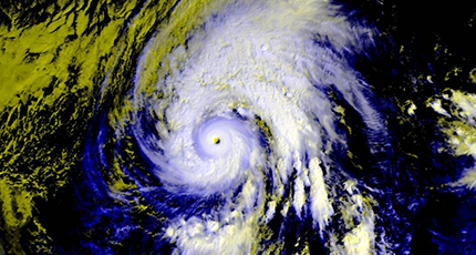 臺風(fēng)“鸚鵡”洛壹網(wǎng)絡(luò)安全須知