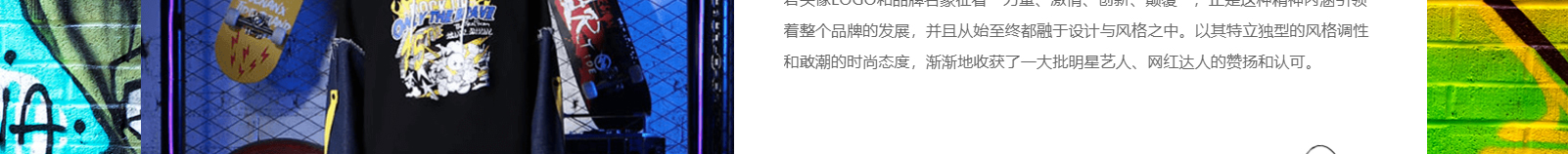 DNY潮牌服飾_深圳網(wǎng)站建設(shè)制作案例