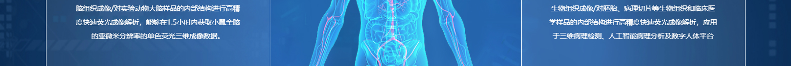 合肥百會拓知科技有限公司_響應(yīng)式網(wǎng)站建設(shè)設(shè)計案例