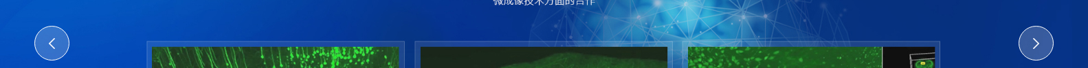 合肥百會拓知科技有限公司_響應(yīng)式網(wǎng)站建設(shè)設(shè)計案例