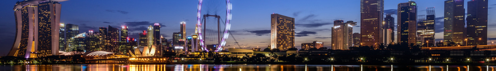 中鑫海外集團(tuán)_集團(tuán)網(wǎng)站建設(shè)案例_洛壹網(wǎng)絡(luò)建站案例