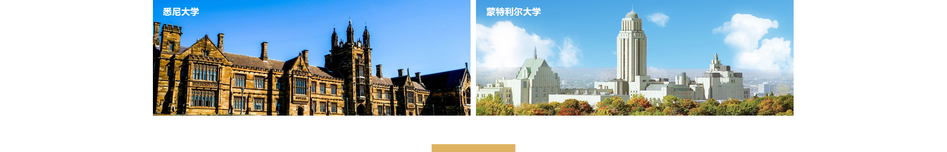 中鑫海外集團(tuán)_集團(tuán)網(wǎng)站建設(shè)案例_洛壹網(wǎng)絡(luò)建站案例