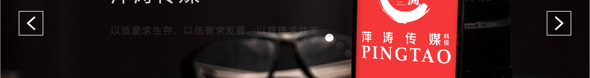 廣州萍濤傳媒科技有限公司_企業(yè)官網(wǎng)案例