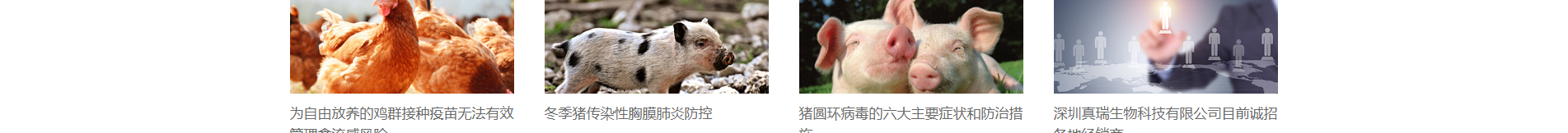 新型冠狀病毒快速診斷