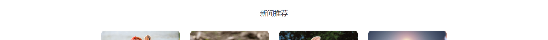 新型冠狀病毒快速診斷