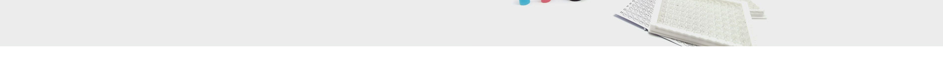 新型冠狀病毒快速診斷
