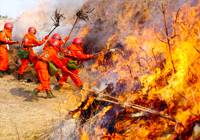 深圳芬翁信息咨詢有限公司